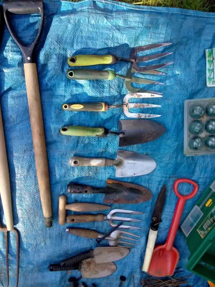 Photo of free Allotment stuff (Taverham NR8) #2