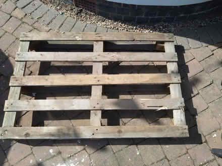 Photo of free Pallett (Coventry CV6) #2