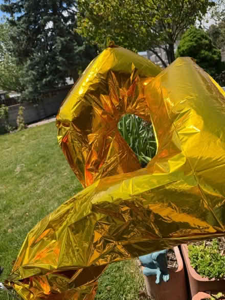 Photo of free Two office chairs 7 & 5 balloons (NE ABQ) #3