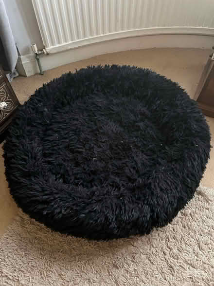 Photo of free Large dog donut bed (Bexley DA5) #2
