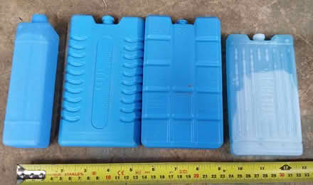 Photo of free Four freezer blocks (Titchfield PO14) #1