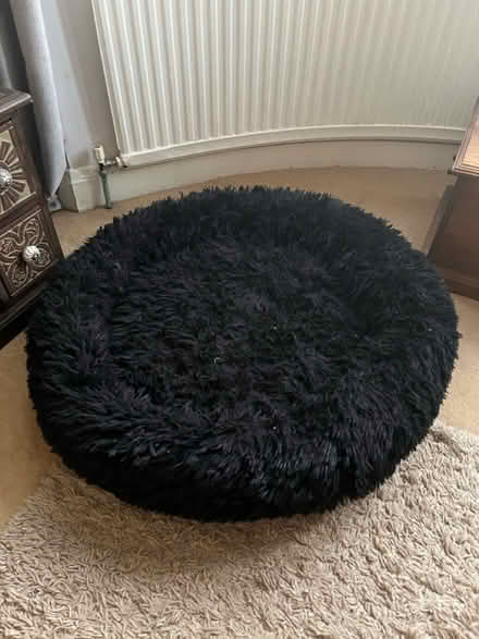 Photo of free Large dog donut bed (Bexley DA5) #1
