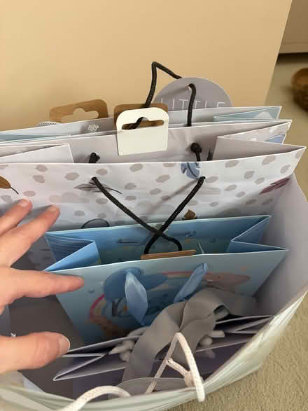 Photo of free Baby gift bags (Bishops Tachbrook CV33) #2
