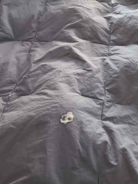 Photo of free Twin navy blue down comforter (Beacon Hill) #1