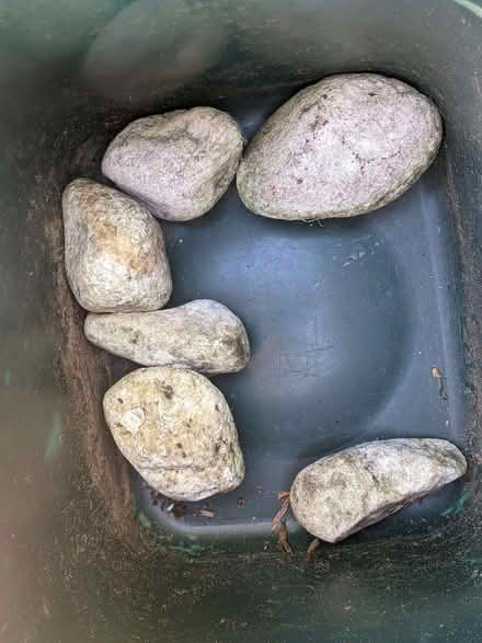 Photo of free Whiteish stones. (Horspath OX33) #1