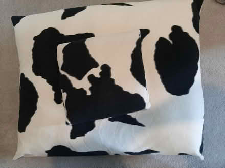 Photo of free Cow skin patterned cushions (Birds Marsh View, SN15) #1