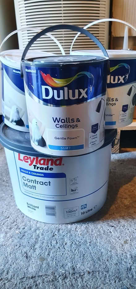 Photo of free Assorted paint (Wokingham RG40) #1