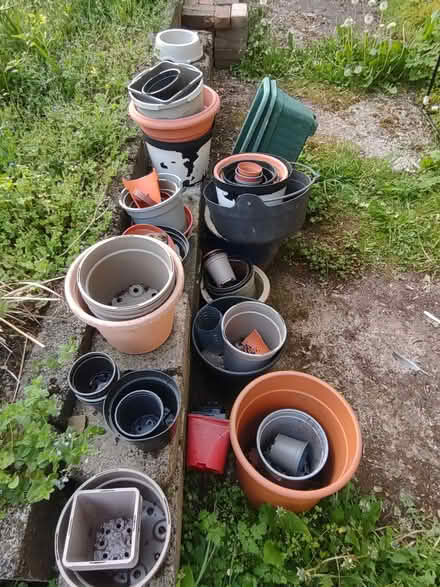 Photo of free Plant Pots (Hay on Wye HR3) #1