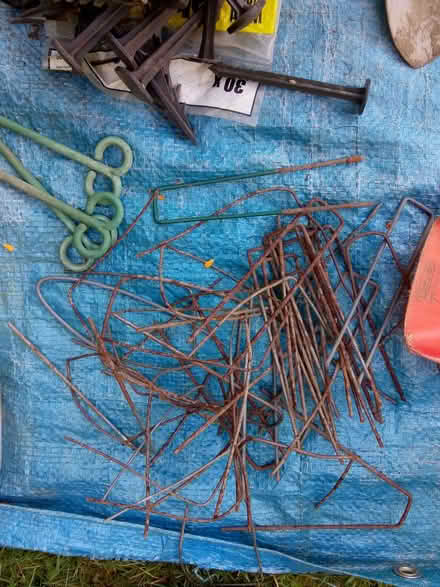 Photo of free Allotment stuff (Taverham NR8) #4