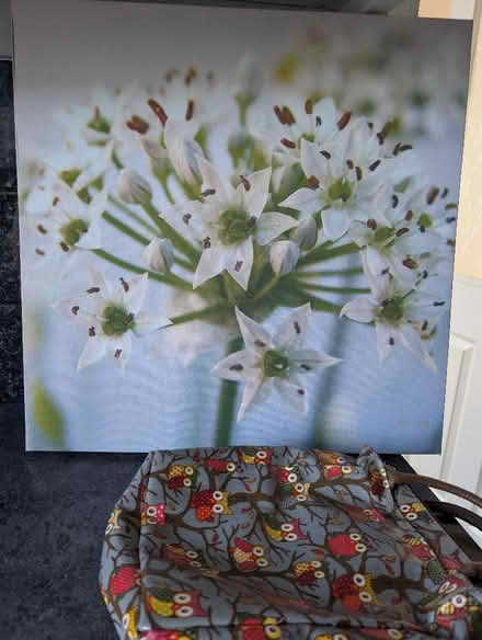 Photo of free Picture and cool bag (Barton-in-Fabis CP NG11) #1