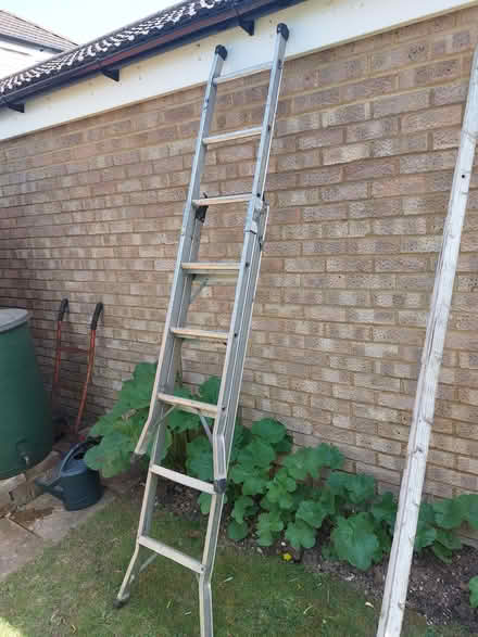 Photo of Small extendable ladder (Hitchin SG4) #1