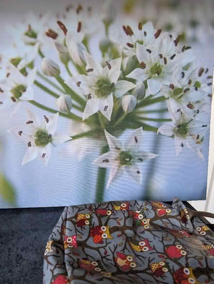 Photo of free Picture and cool bag (Barton-in-Fabis CP NG11) #3