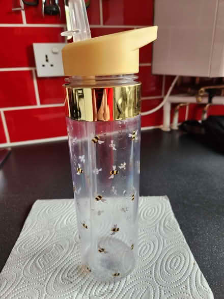 Photo of free Drinks bottle (Northop Hall CH7) #1
