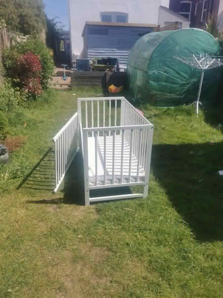 Photo of free cot bed with unused mattress (TN34 amhurst) #1