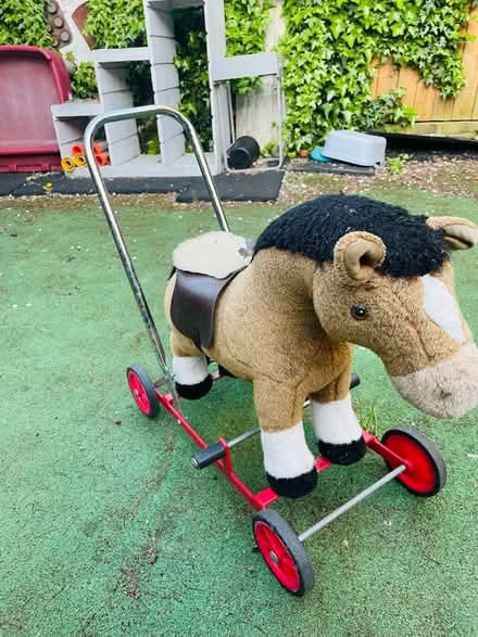Photo of free Child horse (Se279) #2