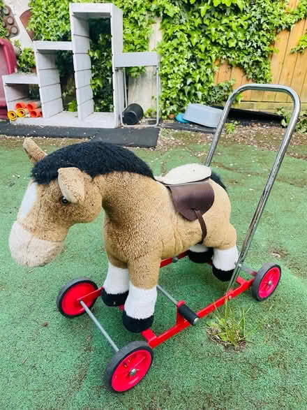 Photo of free Child horse (Se279) #1