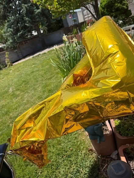 Photo of free Two office chairs 7 & 5 balloons (NE ABQ) #4