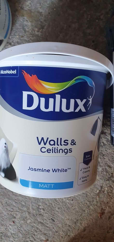 Photo of free Assorted paint (Wokingham RG40) #4