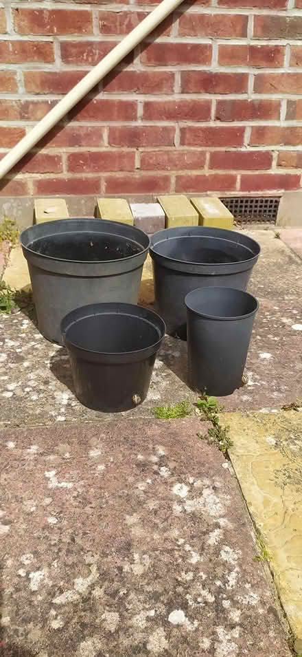 Photo of free four plant pots (Southbourne (BH6)) #1
