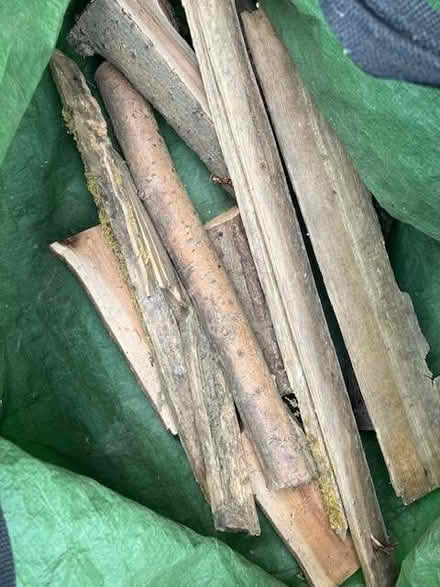 Photo of free Wood (Broughton NN14) #3
