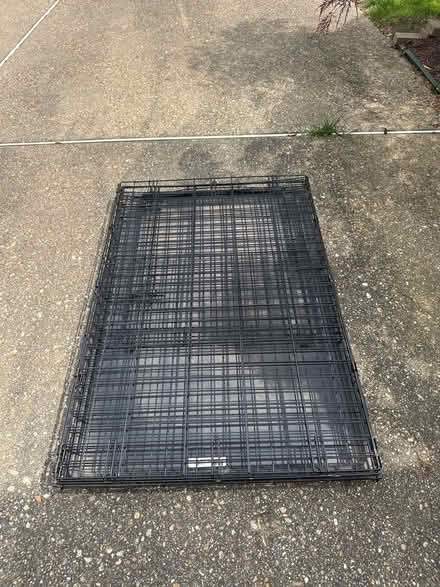 Photo of free Collapsible dog crate (Potomac) #1