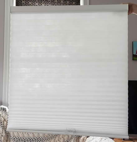 Photo of free 2 cellular shades (Medford Hillside area) #1