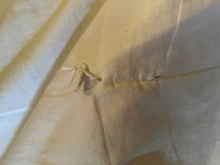 Photo of free Wool mattress topper (Ballard) #3
