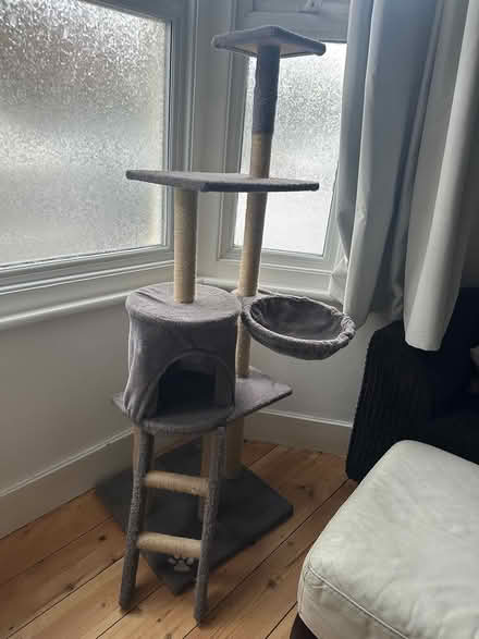 Photo of free Cat scratching post (CR2) #2