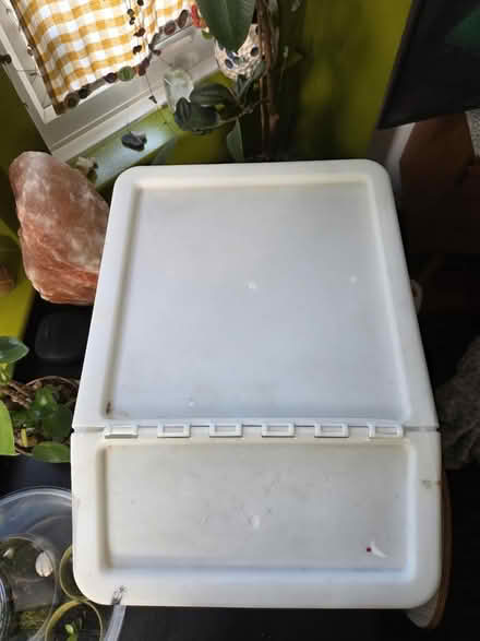 Photo of free Large plastic storage tub (E15 1HB) #4