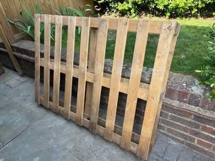 Photo of free Large wooden pallet (CT20) #1