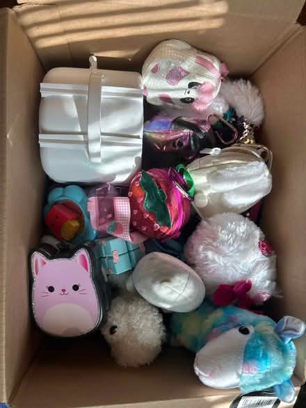 Photo of free Misc tiny backpacks and plushies (Van Ness/Tenleytown) #1