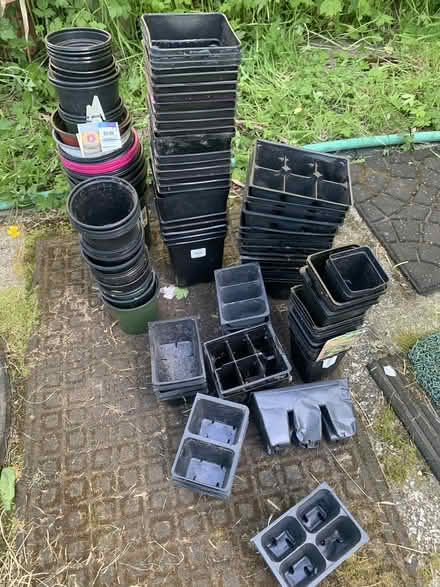 Photo of free planting pots, variety of sizes (Greenwood) #1