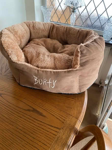 Photo of free Dogbed (Belper DE56) #1