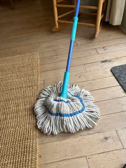 Photo of free Mop (Gospel Oak NW5) #1