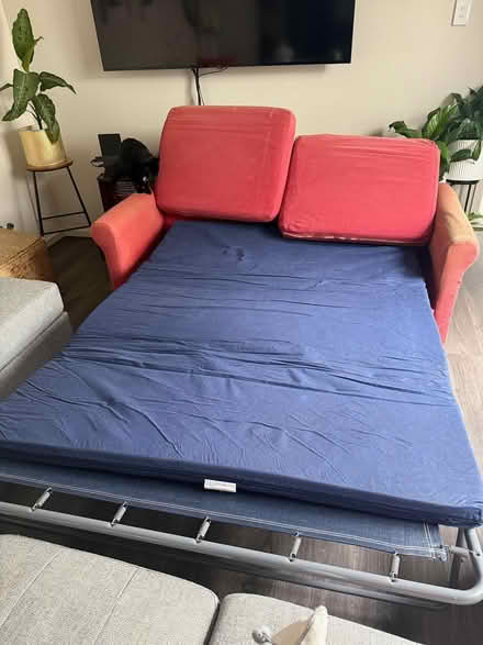 Photo of free 3-Seater Sofa Bed (Mango Hill) #1