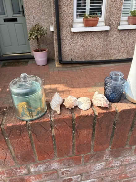 Photo of free Miscellaneous Items (SE25) #3