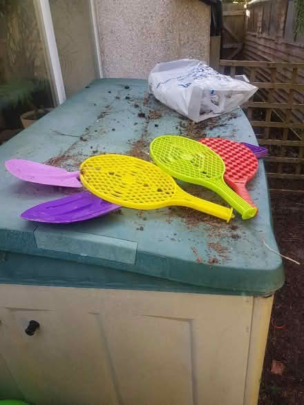 Photo of free Bats and spades (Orpington BR5) #1