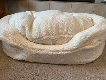 Photo of free Dog bed (north Downers Grove) #2