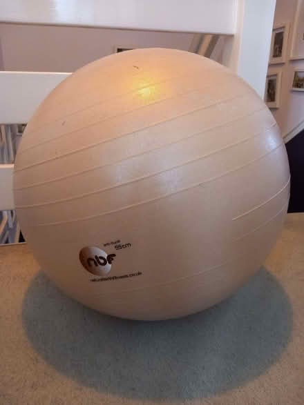 Photo of free Pregnancy/birth ball (Wormley EN10) #2