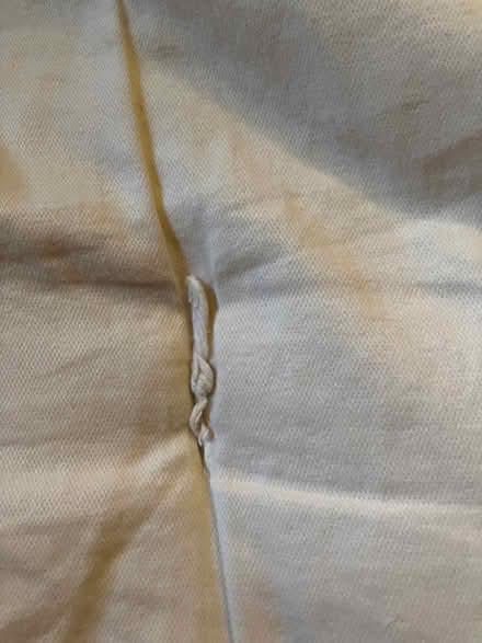 Photo of free Wool mattress topper (Ballard) #4