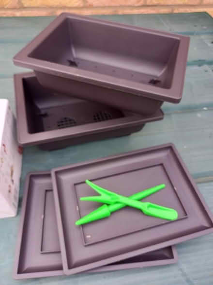 Photo of free Bonsai growing kit (Market Deeping PE6) #3