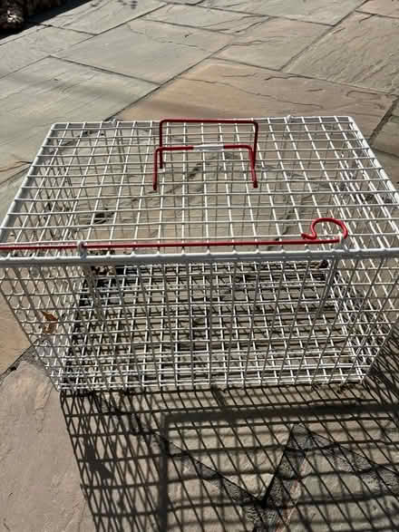 Photo of free Cat basket (Aldfield HG4) #1