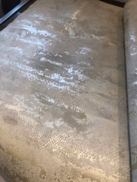 Photo of free Super large wallpaper sample (Cavendish DE23) #1