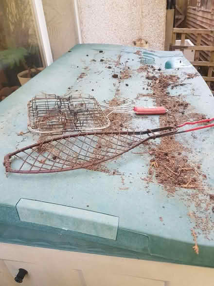 Photo of free Fish & burger for BBQ (Orpington BR5) #1