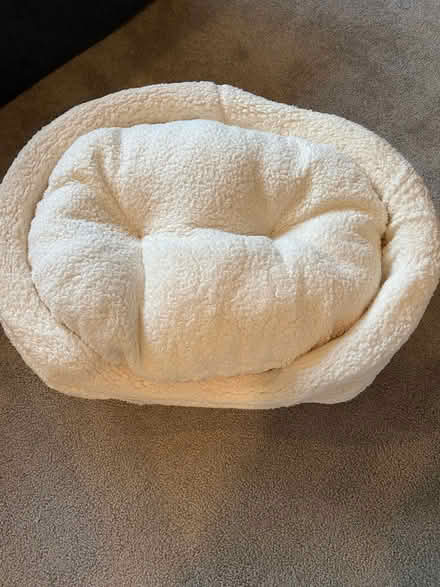 Photo of free Dog bed (north Downers Grove) #1