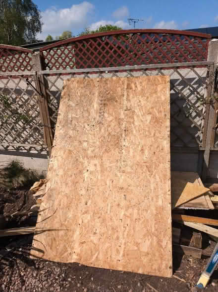 Photo of free 11 mm OSB board (Sothall S20) #1