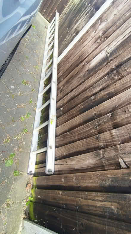Photo of free Ladder (Chislehurst BR7) #3