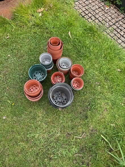 Photo of free Plastic plant pots (Papplewick CP NG15) #2