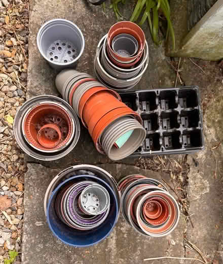 Photo of free Selection plastic plant pots (Whitley Bay NE26) #1