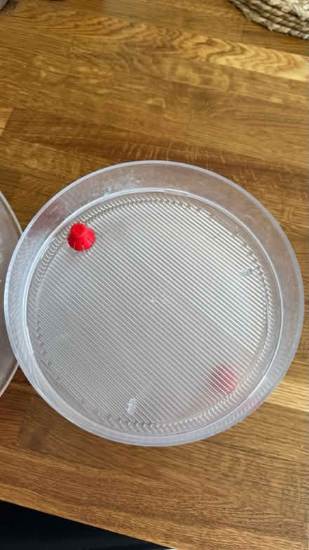 Photo of free Bio Snacky Sprouter (Bexleyheath DA6) #1